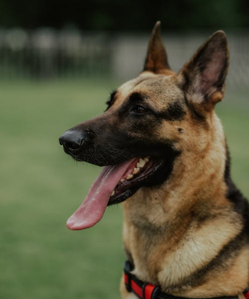 pexels-photo-13867933